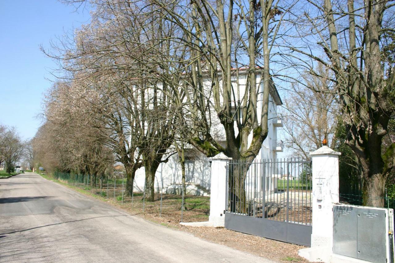 Villa Dei Tigli San Vicenzo di Galliera Exterior foto